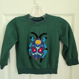 Kids Green Sweatshirt With Fuzzy Textured Beetle Design, US 4t, Cozy, Insects